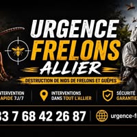 Urgence Frelons Allier